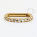 TN74 Segmento D-Ring Cravejado CZ Haste Reta Titânio PVD Gold