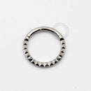 TN435 Segmento Inca Frontal Titânio ASTM F136