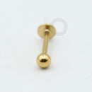 TN563 Labret titânio PVD Gold