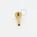 TN280 Haste De Labret Titânio PVD Gold