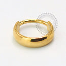 TN1618 Segmento Abaulado Titânio PVD Gold