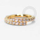 TN1400 Segmento Cravejado Duplo Modelo 2 Titânio PVD Gold