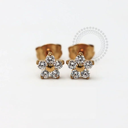 BRINCOS TITÂNIO PVD GOLD