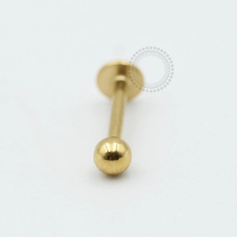 TN563 Labret titânio PVD Gold