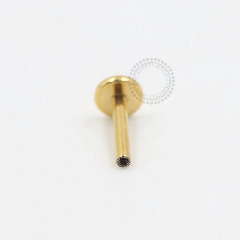 TN1697 Haste Disco 3mm Titânio PVD Gold